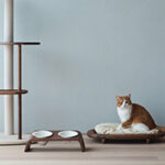 KARIMOKU CAT 猫用木製家具4点セット