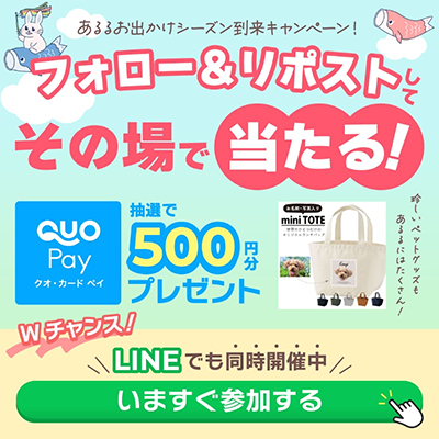 QUOｶｰﾄﾞPayがその場で当たる 創作品モールあるるのX（Twitter）懸賞