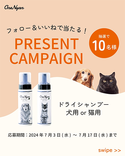 OneNyan ドライシャンプー 犬or猫用が当たるInstagram懸賞