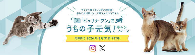 ピュリナワンうちの子元気 撮って当たる！プレゼントキャンペーン