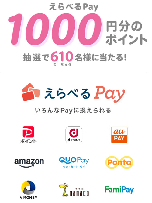 えらべるPay1,000円分