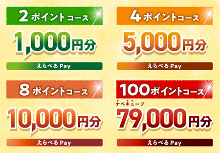 えらべるPay最大79,000円分