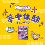 マロッシュ 夢中体験キャンペーン