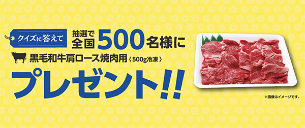 黒毛和牛肩ロース焼肉用（500g冷凍）