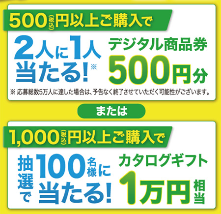 カタログギフト1万円相当、デジタル商品券500円分