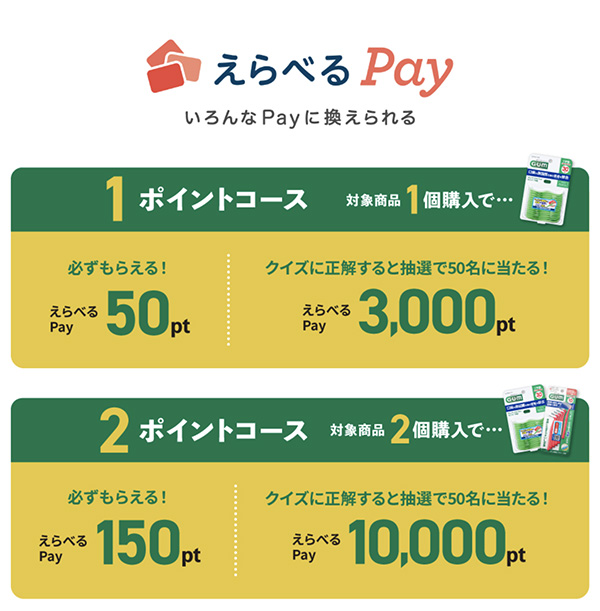 えらべるPay 最大１万ポイント