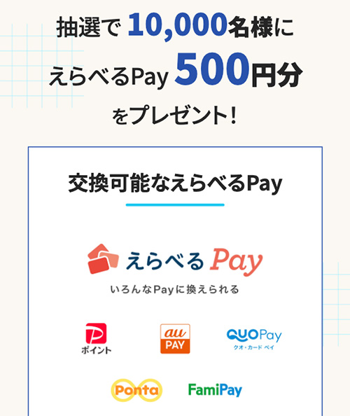 えらべるPay500円分