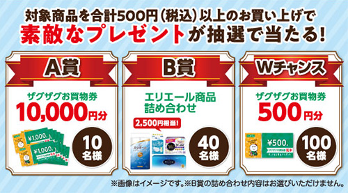 ザグザグお買物券最大10,000円分、エリエール商品詰め合わせ2,500円相当