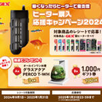 GEX（ジェックス）ヒーター購入応援キャンペーン2024