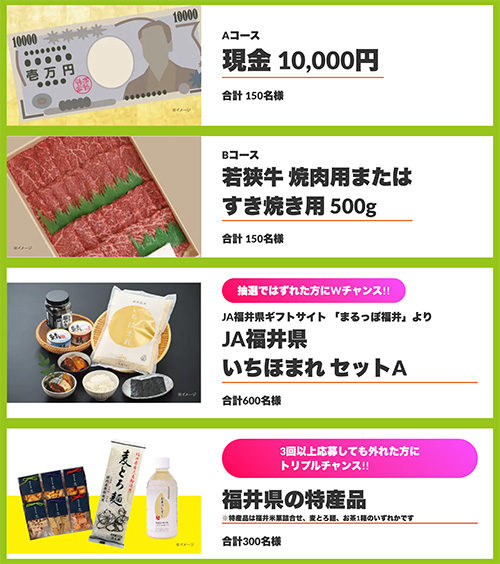 現金１万円、若狭牛 焼肉用またはすき焼き用 500g、JA福井県 いちほまれ セットA、福井県の特産品