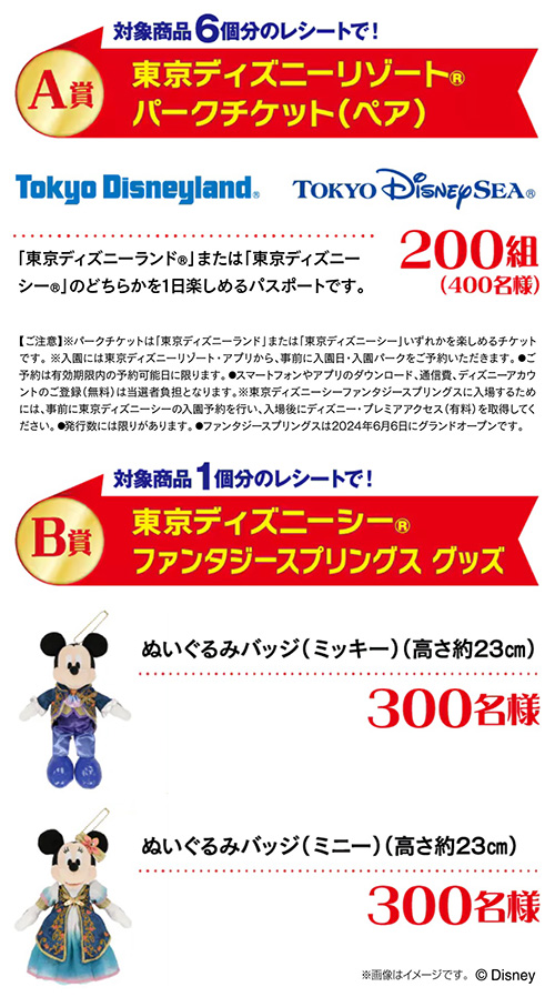 東京ディズニーリゾート パークチケット（ペア）、ミッキーorミニーぬいぐるみ