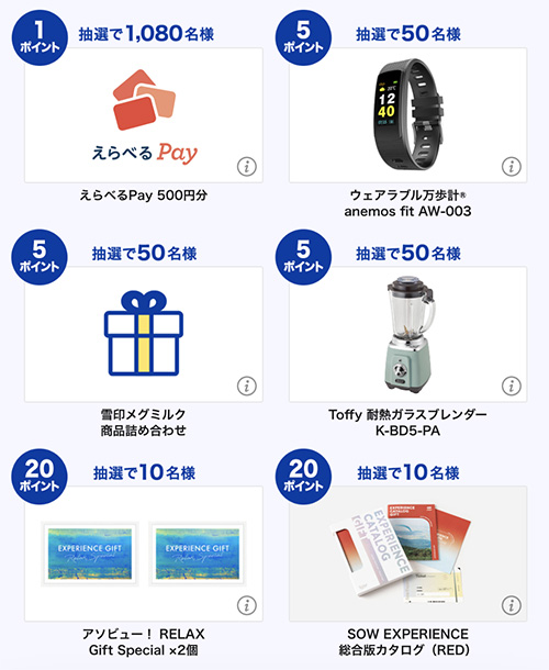 えらべるPay 500円分、ウェアラブル万歩計、雪印メグミルク商品詰め合わせ、Toffy 耐熱ガラスブレンダー、アソビュー！ギフト、SOW EXPERIENCE総合版カタログ