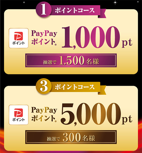 PayPayポイント最大5,000pt