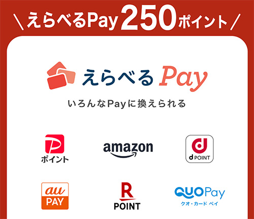 えらべるPay250ポイント