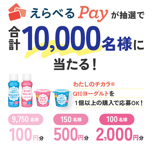 えらべるPay最大2,000円分