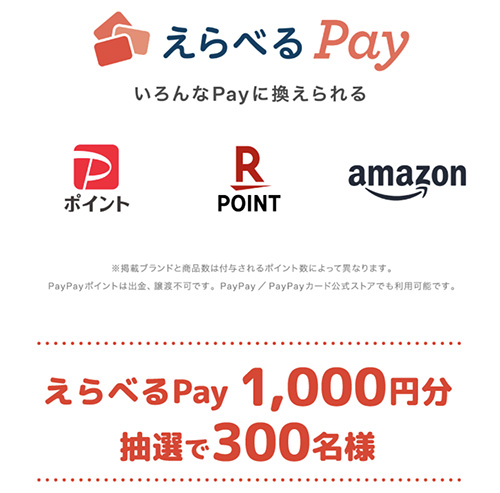 えらべるPay 1,000円分