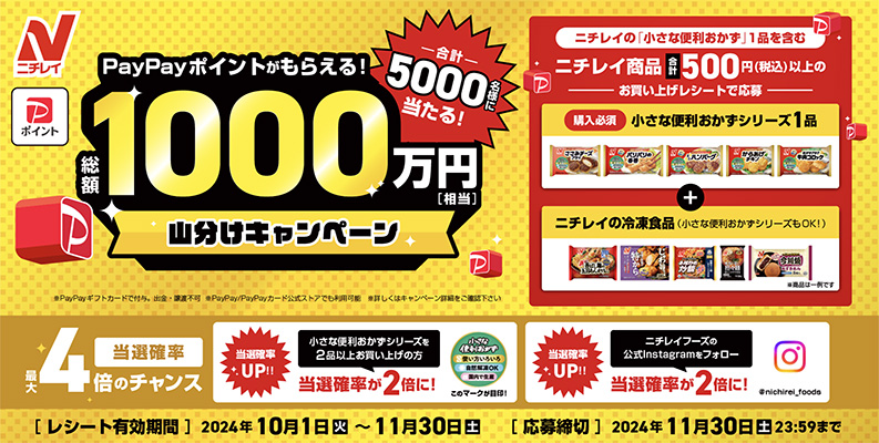 総額1,000万PayPayポイント山分けキャンペーン