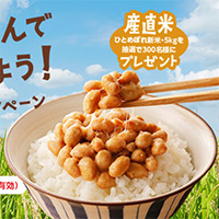 カジノヤ おいしいごはんで納豆を食べよう！秋のプレゼントキャンペーン