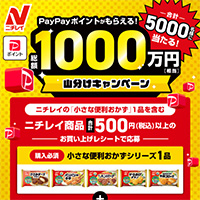 ニチレイ 総額1,000万PayPayポイント山分けキャンペーン