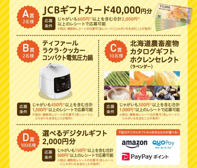 JCBギフトカード4万円分、ティファール 電気圧力鍋、北海道農畜産物カタログギフト、選べるデジタルギフト2,000円分