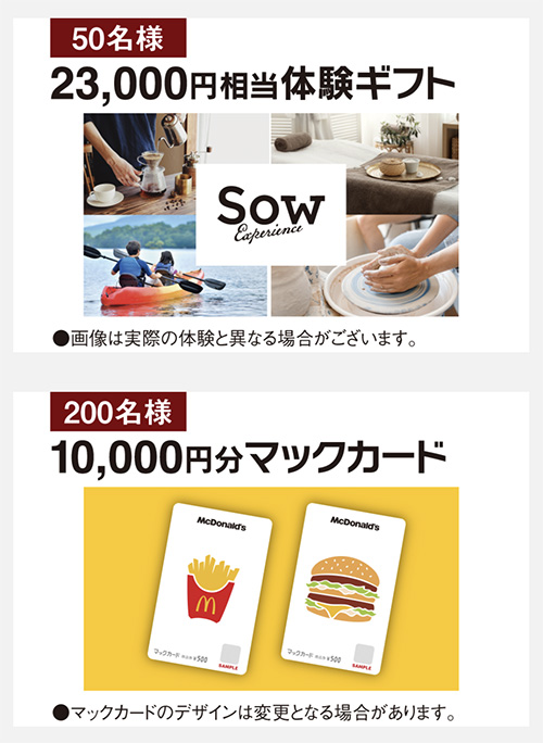 23,000円相当体験ギフト、マックカード１万円分