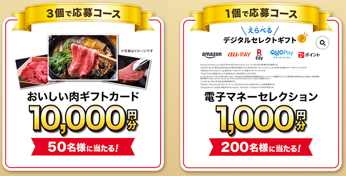 電子マネーセレクション1,000円分、おいしい肉ギフトカード10,000円分