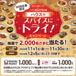 イオングループ×ハウス食品 スパイスにトライ！キャンペーン