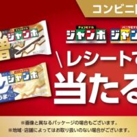 コンビニ限定 森永チョコモナカジャンボ レシートで当たる！キャンペーン