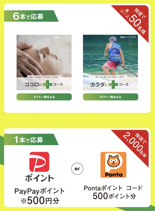 アソビュー！ギフト、PayPay or Pontaポイント500円分