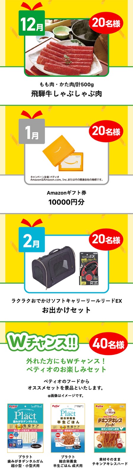 飛騨牛 しゃぶしゃぶ肉、Amazonギフト券 1万円分、ソフトキャリー & リールリードEX、ペティオのお楽しみセット