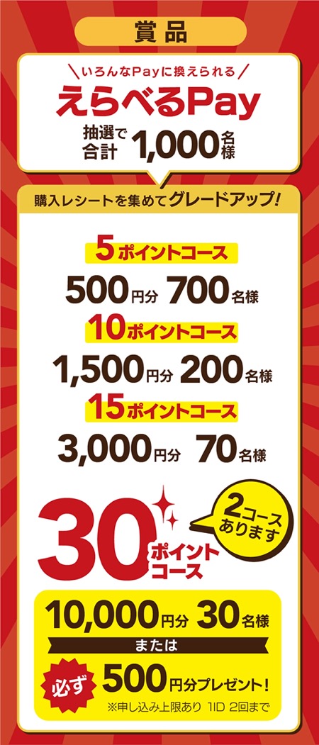 えらべるPay 最大１万円分