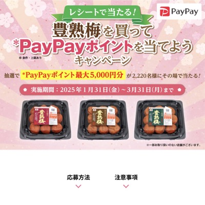 中田食品 豊熟梅を買ってPayPayポイントを当てようキャンペーン