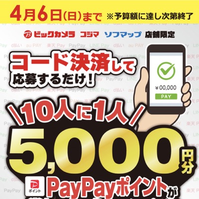 ビックカメラ・コジマ・ソフマップ 10人に1人5,000円分当たっちゃうキャンペーン