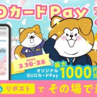 QUOカードPayがその場で当たる 秋田犬たれみみだいちゃんのXキャンペーン