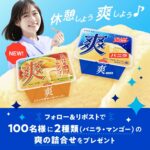 爽バニラ&とろける濃厚完熟マンゴー詰め合わせが当たる！ロッテのXキャンペーン