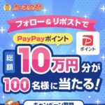 PayPayポイント総額10万円分が当たる！カーネクストのXキャンペーン