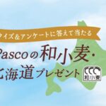 北海道 和小麦の旅 トマム泊、和小麦 朝食パンセットが当たる！Pascoのキャンペーン