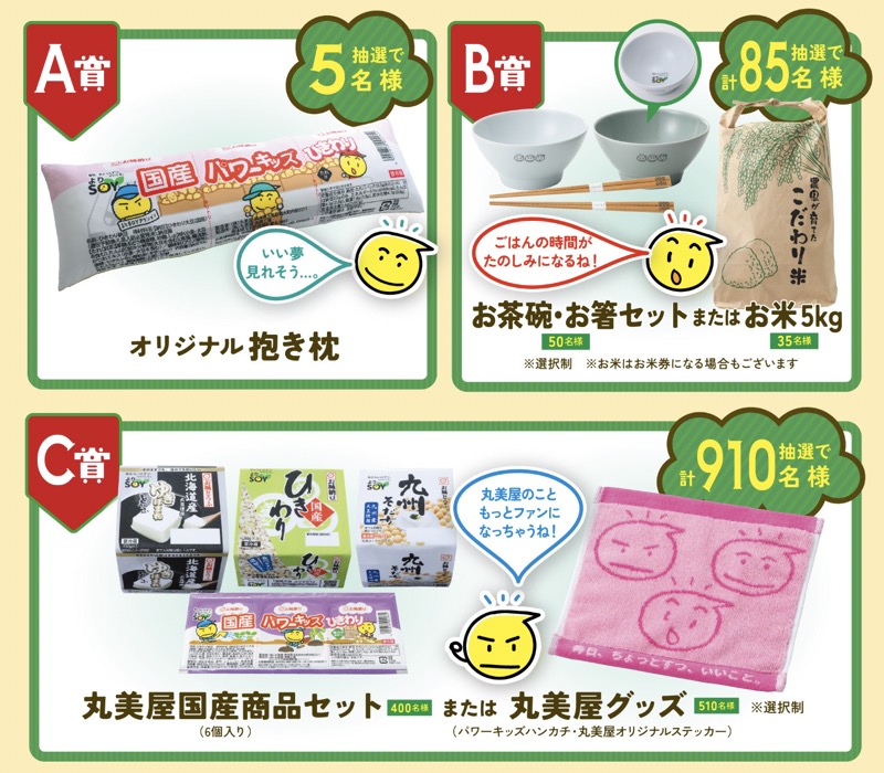 抱き枕、お茶碗・お箸セット、お米5kg など