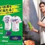 伊藤園 お〜いお茶 大谷翔平選手応援グッズなどが当たる！キャンペーン