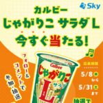 じゃがりこサラダL セブン無料クーポンが当たる！SKYPCE（スカイピース）のキャンペーン