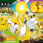 赤城乳業 ポケモン・ガリガリ君メガワンタッチテントが当たる！キャンペーpん