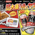 サッポロビール 男梅サワー✕ペヤング 超大盛！梅ぇヤン キャンペーン