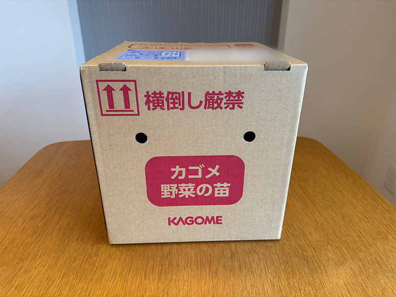 届いたカゴメトマトの苗