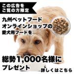 熟成フード 成犬用 100g 無料サンプルが当たる！九州ペットフードのキャンペーン