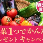 中華風春雨サラダ&春雨入り 麻婆茄子が当たる！モランボンのキャンペーン