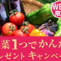 中華風春雨サラダ&春雨入り 麻婆茄子が当たる！モランボンのキャンペーン