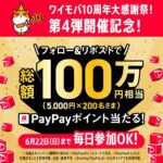 PayPayポイント5,000円分が当たる！ワイモバイルのXキャンペーン