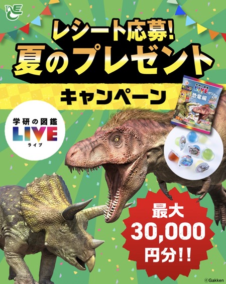 エースベーカリー レシート応募！夏のプレゼントキャンペーン