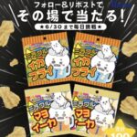 ミラクルイカフライ＋ミラクルマヨイーカ 計4袋が当たる！ジョッキのXキャンペーン