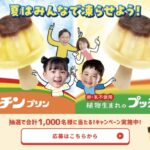 江崎グリコ 凍らせプッチンプリンキャンペーン
